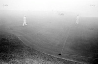 Croquet in the Fog