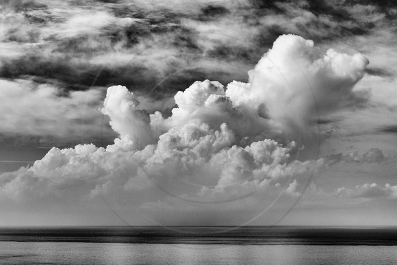 B&W Cumulus Clouds